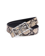 T Box Reversible Belt Black Venom Regular Accessories - Multi Colour