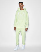 Mens Ticket Restore Trak Acid Slim Pants - Green