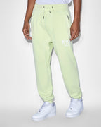Mens Ticket Restore Trak Acid Slim Pants - Green