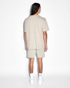 Mens Euphoric Biggie Ss Tee Terra Oversized Tees - Khaki