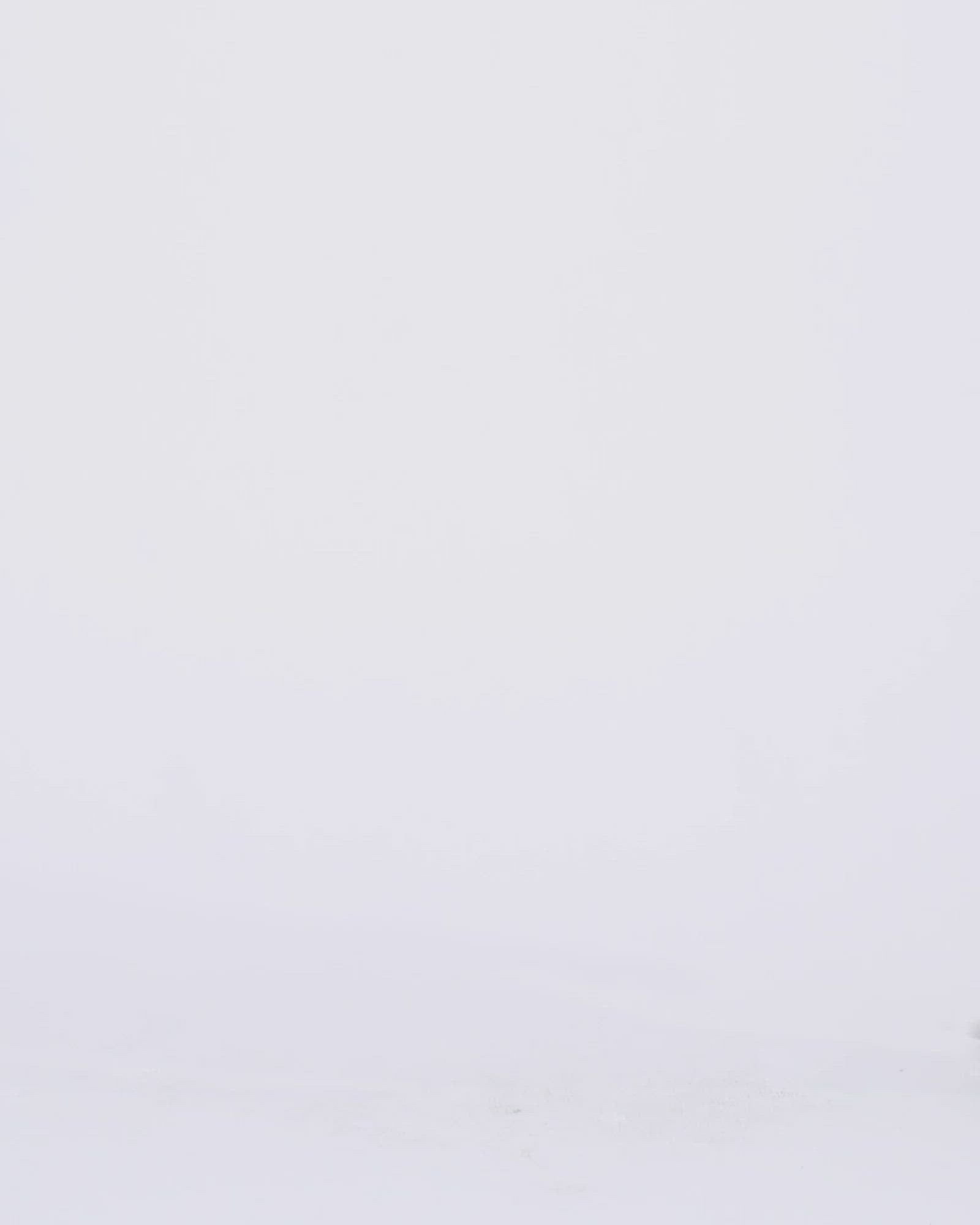 WOMENS SOHO OBSCURA FLARE DENIM JEANS